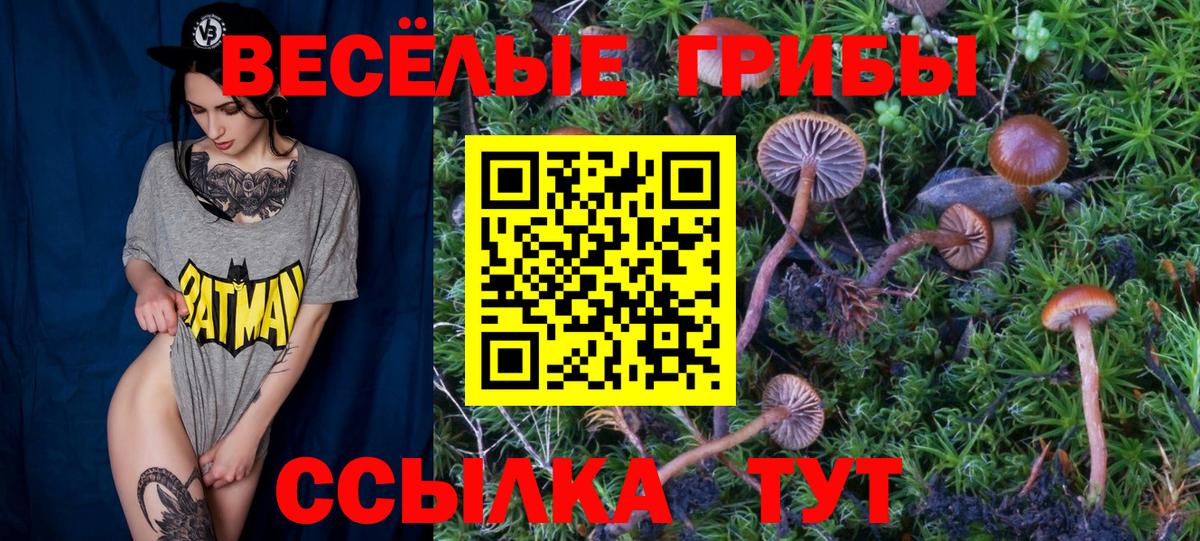 Псилоцибиновые грибы мухоморы  Вход с VPN  цена   Великий Устюг  Галлюциногенные грибы ЛСД 