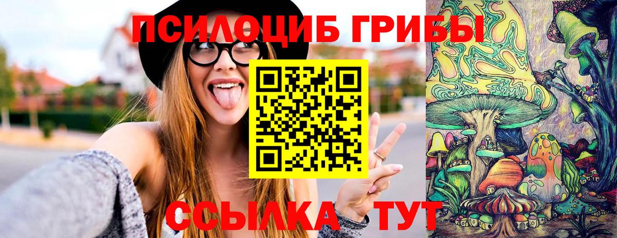 Галлюциногенные грибы мухоморы Великий Устюг